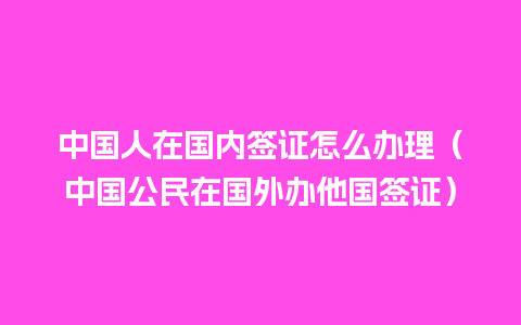 中国人在国内签证怎么办理（中国公民在国外办他国签证）