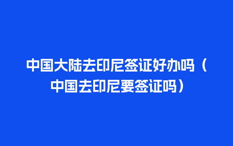 中国大陆去印尼签证好办吗（中国去印尼要签证吗）