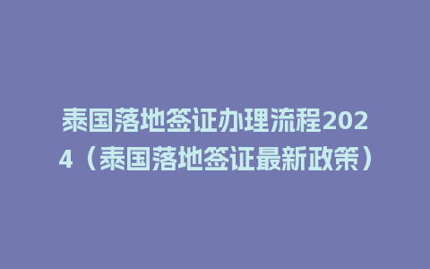 泰国落地签证办理流程2024（泰国落地签证最新政策）