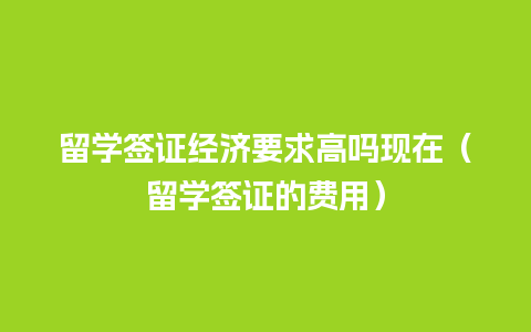 留学签证经济要求高吗现在（留学签证的费用）