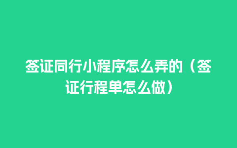 签证同行小程序怎么弄的（签证行程单怎么做）