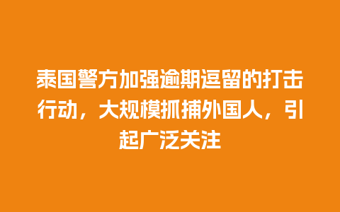 泰国警方加强逾期逗留的打击行动，大规模抓捕外国人，引起广泛关注