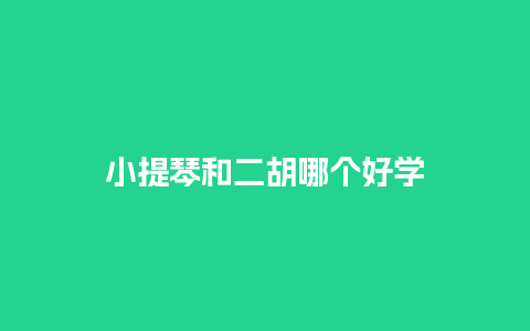 小提琴和二胡哪个好学