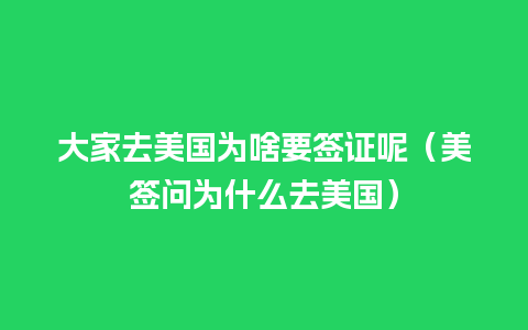 大家去美国为啥要签证呢（美签问为什么去美国）