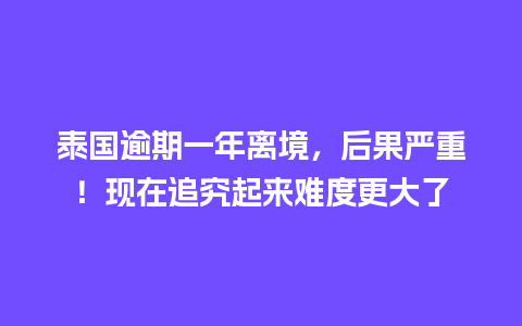 泰国逾期一年离境，后果严重！现在追究起来难度更大了