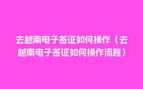 去越南电子签证如何操作（去越南电子签证如何操作流程）