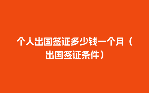 个人出国签证多少钱一个月（出国签证条件）