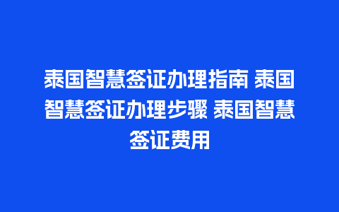 泰国智慧签证办理指南 泰国智慧签证办理步骤 泰国智慧签证费用