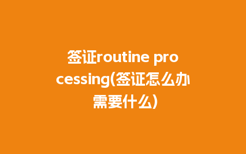 签证routine processing(签证怎么办 需要什么)