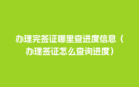 办理完签证哪里查进度信息（办理签证怎么查询进度）