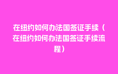 在纽约如何办法国签证手续（在纽约如何办法国签证手续流程）