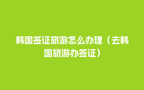 韩国签证旅游怎么办理（去韩国旅游办签证）