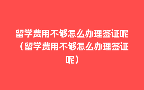 留学费用不够怎么办理签证呢（留学费用不够怎么办理签证呢）