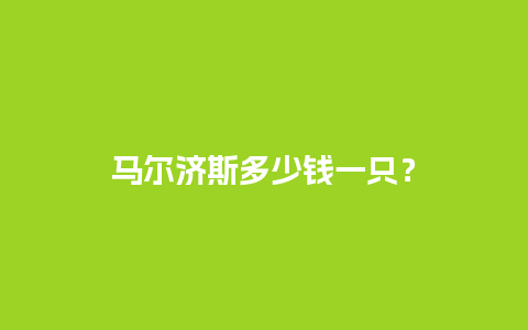 马尔济斯多少钱一只？