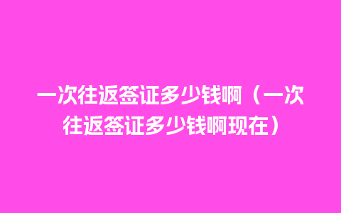 一次往返签证多少钱啊（一次往返签证多少钱啊现在）