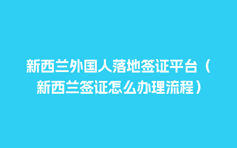 新西兰外国人落地签证平台（新西兰签证怎么办理流程）