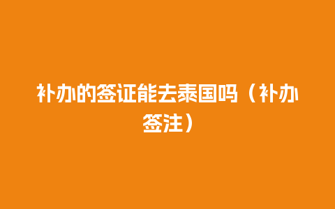 补办的签证能去泰国吗（补办签注）