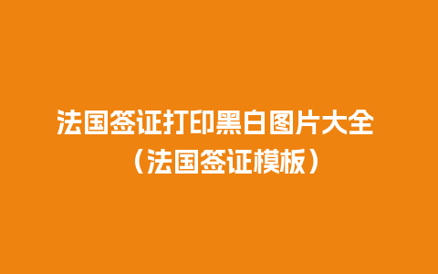 法国签证打印黑白图片大全 （法国签证模板）