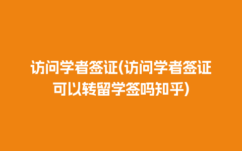 访问学者签证(访问学者签证可以转留学签吗知乎)