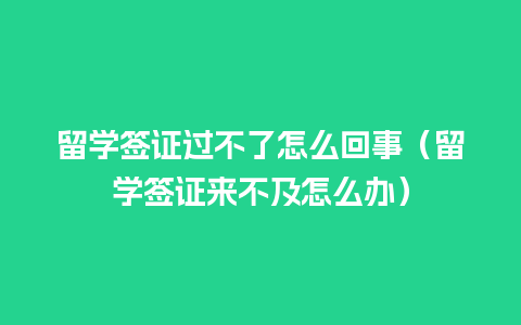 留学签证过不了怎么回事（留学签证来不及怎么办）