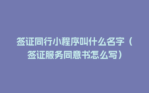 签证同行小程序叫什么名字（签证服务同意书怎么写）