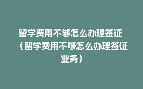 留学费用不够怎么办理签证 （留学费用不够怎么办理签证业务）