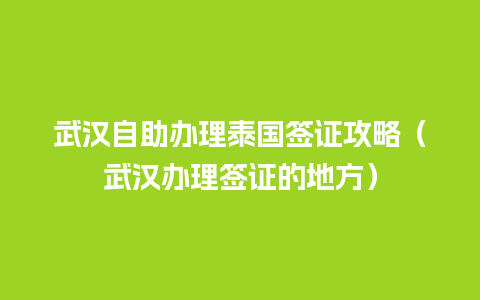 武汉自助办理泰国签证攻略（武汉办理签证的地方）