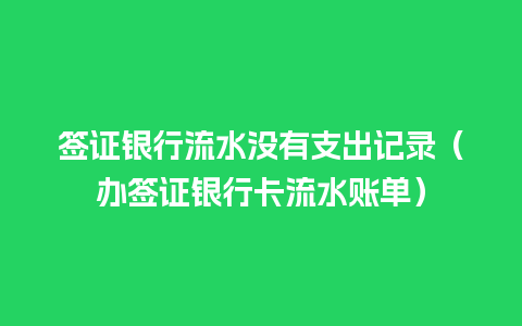 签证银行流水没有支出记录（办签证银行卡流水账单）