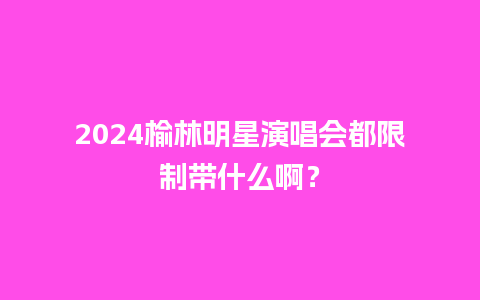 2024榆林明星演唱会都限制带什么啊？