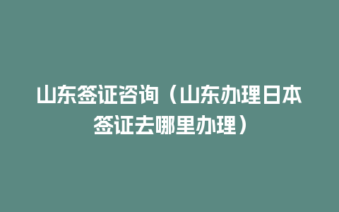 山东签证咨询（山东办理日本签证去哪里办理）