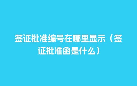 签证批准编号在哪里显示（签证批准函是什么）