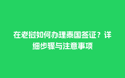 在老挝如何办理泰国签证？详细步骤与注意事项