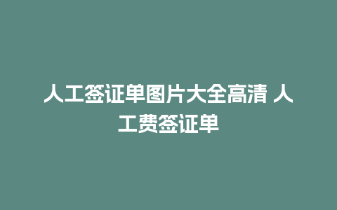 人工签证单图片大全高清 人工费签证单