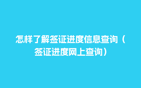 怎样了解签证进度信息查询（签证进度网上查询）