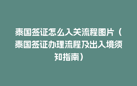 泰国签证怎么入关流程图片（泰国签证办理流程及出入境须知指南）