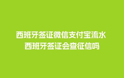 西班牙签证微信支付宝流水 西班牙签证会查征信吗