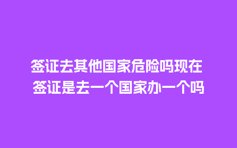 签证去其他国家危险吗现在 签证是去一个国家办一个吗