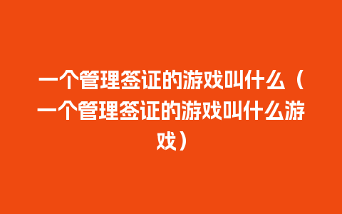 一个管理签证的游戏叫什么（一个管理签证的游戏叫什么游戏）