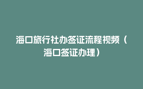 海口旅行社办签证流程视频（海口签证办理）