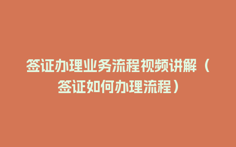 签证办理业务流程视频讲解（签证如何办理流程）