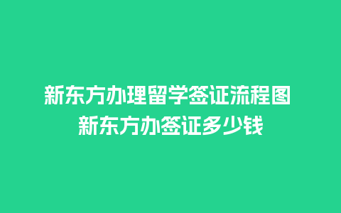 新东方办理留学签证流程图 新东方办签证多少钱