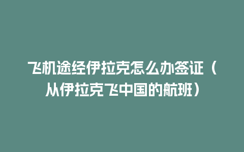 飞机途经伊拉克怎么办签证（从伊拉克飞中国的航班）