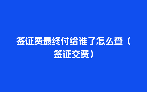 签证费最终付给谁了怎么查（签证交费）