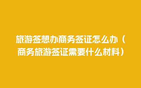 旅游签想办商务签证怎么办（商务旅游签证需要什么材料）