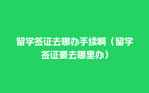 留学签证去哪办手续啊（留学签证要去哪里办）