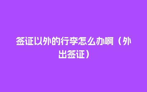 签证以外的行李怎么办啊（外出签证）