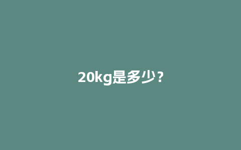 20kg是多少？