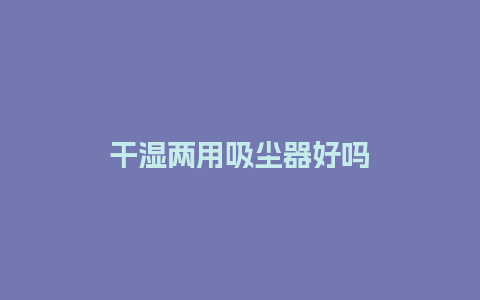 干湿两用吸尘器好吗