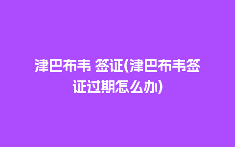 津巴布韦 签证(津巴布韦签证过期怎么办)