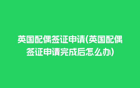 英国配偶签证申请(英国配偶签证申请完成后怎么办)